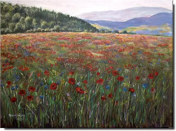 Beata Jańdzio - Meadow