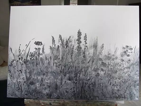 Barbara Przyborowska - Łąka