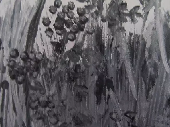 Barbara Przyborowska - Łąka