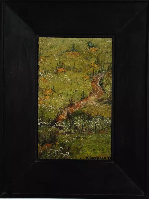 Hanka Drewniak - Meadow