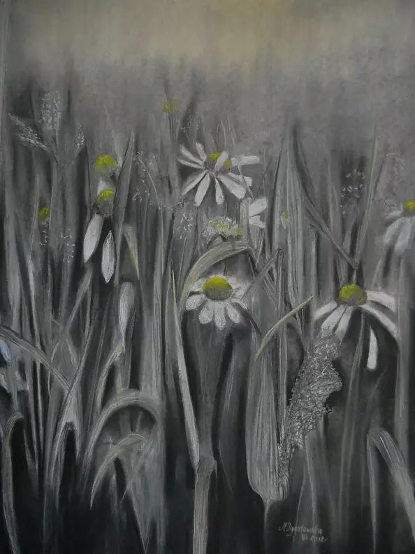 Magdalena Ignatowska - Łąka