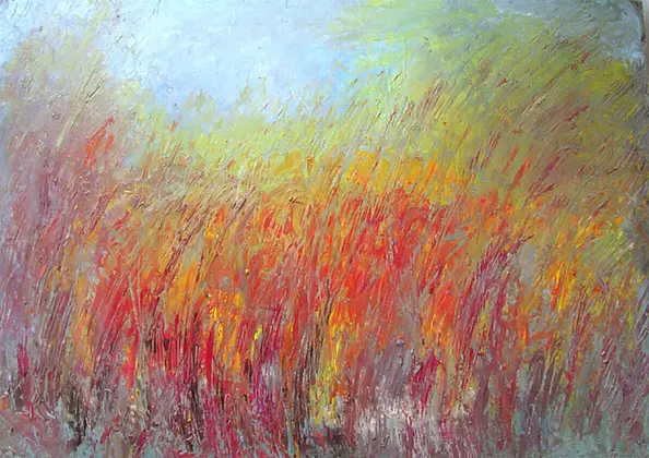 Anna Wąsikiewicz -  Meadow oil on cardboard