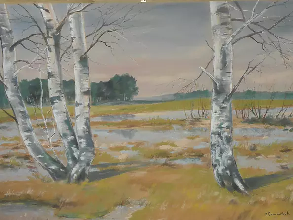 Paweł Czermiński - Meadow