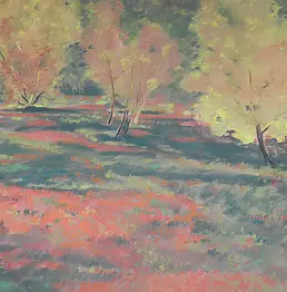 Paweł Czermiński - Meadow