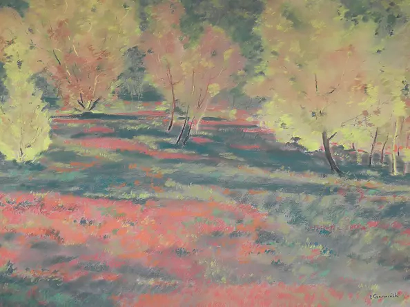 Paweł Czermiński - Łąka