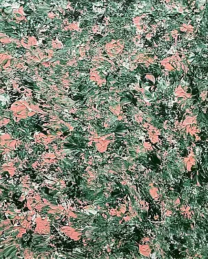 Tania Os - Łąka różowa