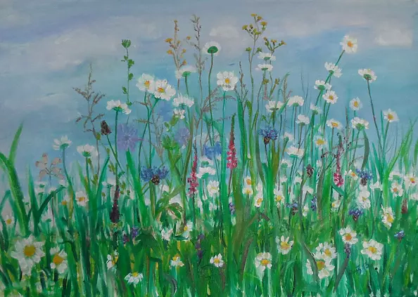 Jadwiga Rudnicka - Łąka z margaretkami