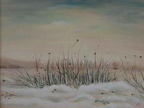 Elżbieta Petruk - Łąka zimą