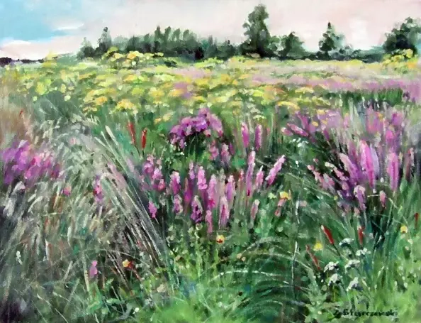 Zbigniew Starczewski - Łąka