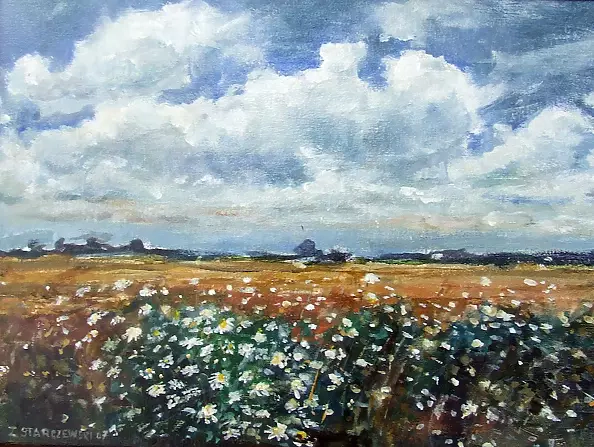 Zbigniew Starczewski - Meadow