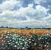 Zbigniew Starczewski - Meadow