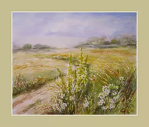   - Meadows and fields