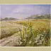 Maria Roszkowska - Meadows and fields