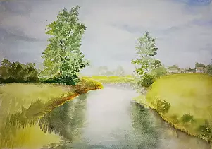 Krzysztof Marek - Fields