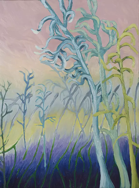 Olka Cała - Forest 1