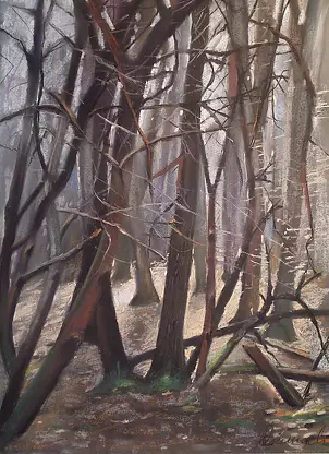 Andrzej Siewierski - Forest