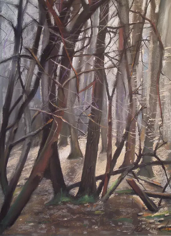 Andrzej Siewierski - Las