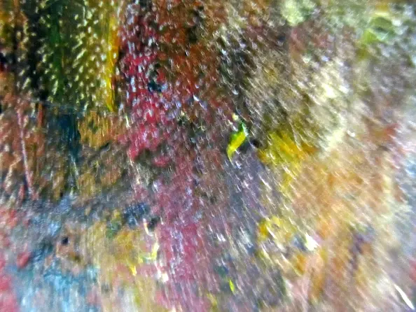 Barbara Przyborowska - Forest