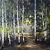 Igor Janczuk - Birch forest