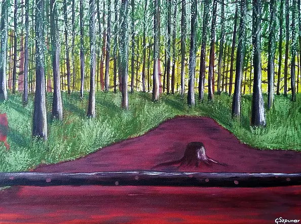Grzegorz Szpunar - The forest