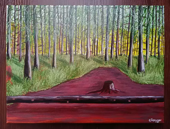 Grzegorz Szpunar - The forest