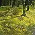Joanna Śmielowska - Forest