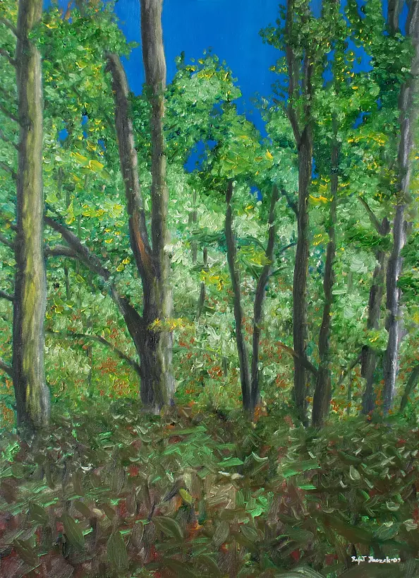 Rafał Huczek - Las na Czajkach