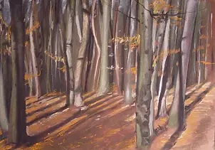 Andrzej Siewierski - Las alder