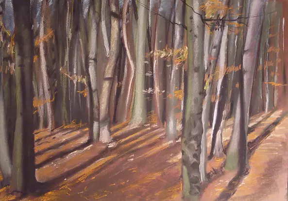 Andrzej Siewierski - Las olchowy