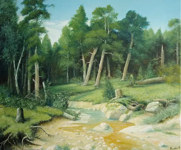 Paweł Kosior - Forest