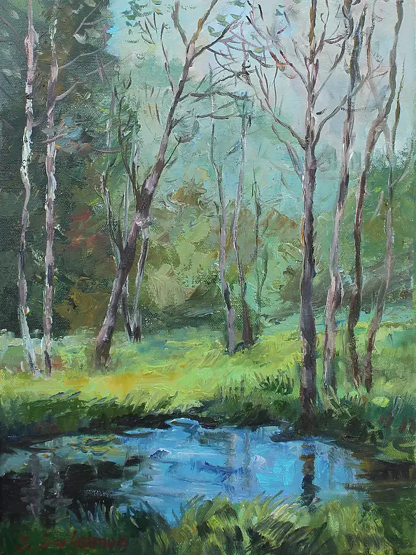 Sabina Salamon, Forest, Oil painting - canvas, 30 x 40