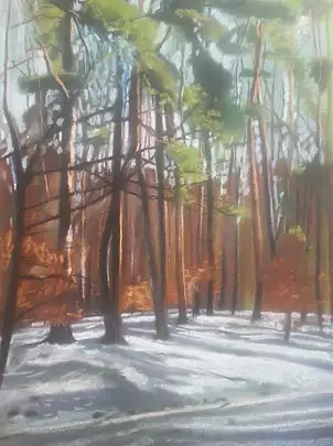 Andrzej Siewierski - spruce forest