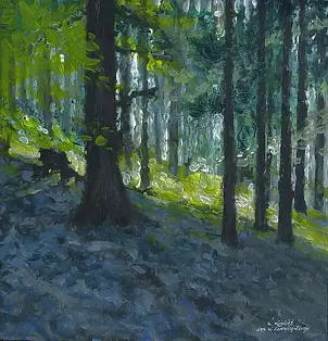   - Forest in Łomnica-Zdrój