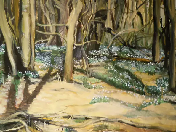 Urszula Wasinska - Spring forest