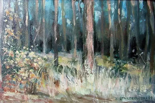 Zbigniew Starczewski - Forest