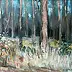 Zbigniew Starczewski - Forest