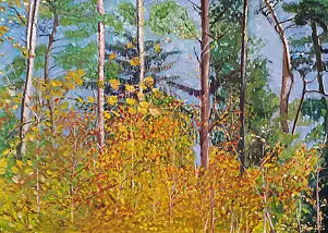 Jadwiga Rudnicka - grove