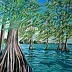 Aleksnadra Gaweł Krajska - Mangroves Florida