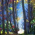 Janusz Gibas - Summer goes through the forest