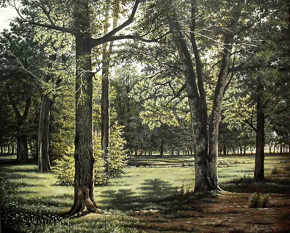 Wojciech Kądziołka - Summer