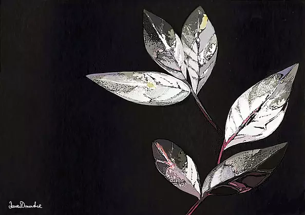 Anna Dmowska - "Laur III"