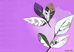 Anna Dmowska - "Laurel II"