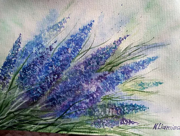 Nataliia Liamina - Лаванда