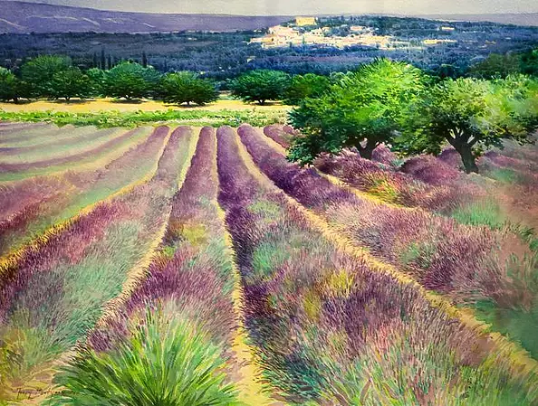 Jerzy Martynów - lavender fields