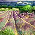 Jerzy Martynów - lavender fields
