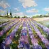 Krzysztof Kłosowicz - "Lavender Field"