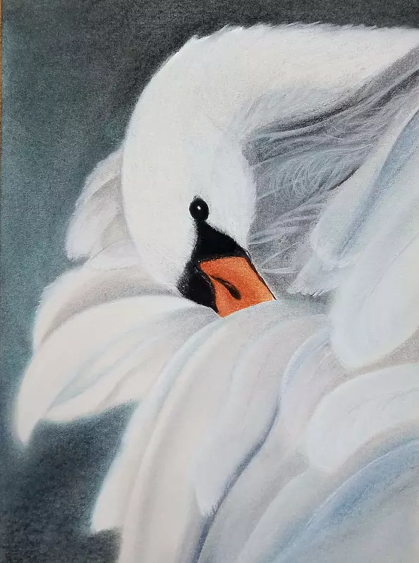 Nataliia Liamina - Лебедь