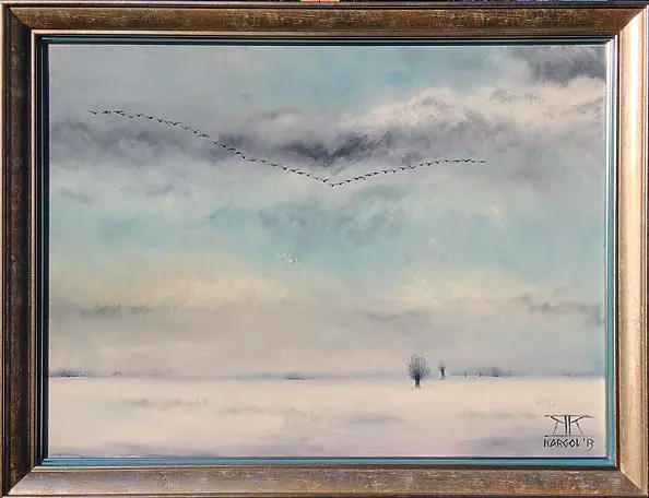 Krzysztof Kargol - flying Geese
