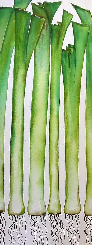 Rachel McCullock - leeks