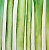 Rachel McCullock - leeks